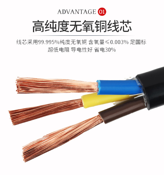 安徽RVVP儀表電纜廠家